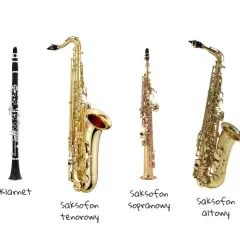 Instrumenty dęte drewniane - rodzaje i charakterystyka brzmienia