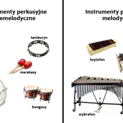 Instrumenty perkusyjne - rodzaje i zastosowanie w zespołach muzycznych