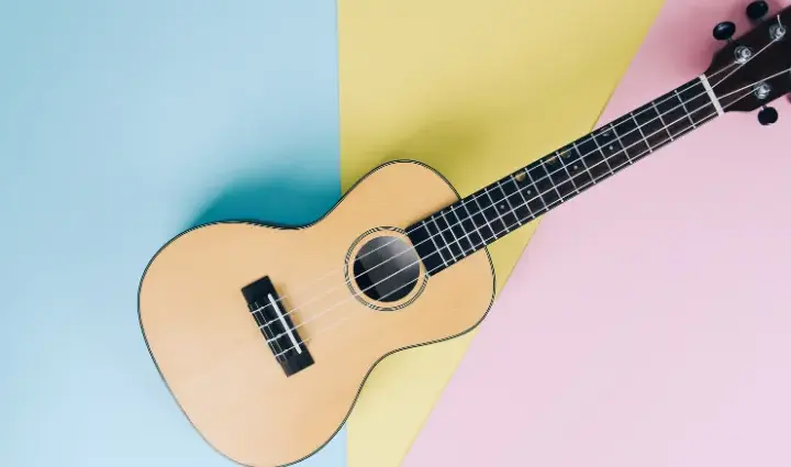  Struny ukulele - Jakie wybrać najlepsze struny do ukulele? Poradnik zakupowy