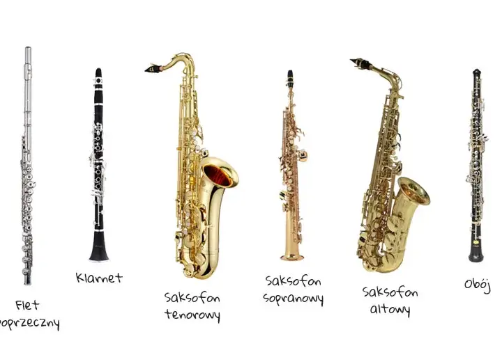 Instrumenty dęte drewniane - rodzaje i charakterystyka brzmienia