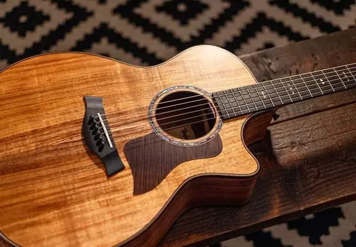  Gitara akustyczna Taylor - sprawdź modele i opinie | Idealny dźwięk i jakość