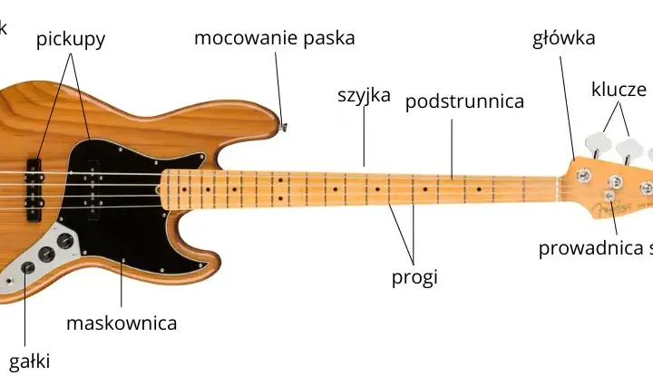 Gitara basowa - budowa, strojenie i podstawowe techniki gry