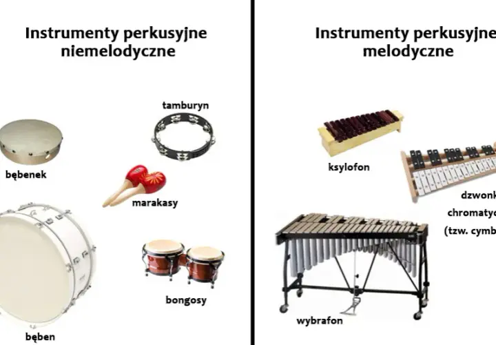 Instrumenty perkusyjne - rodzaje i zastosowanie w zespołach muzycznych