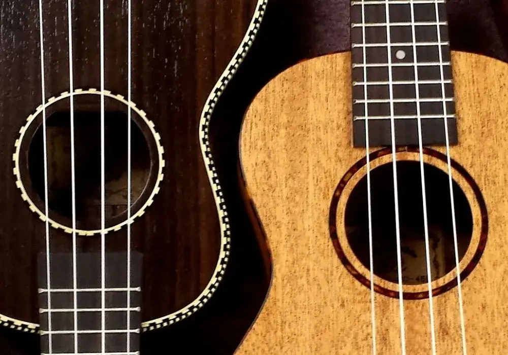Zdjęcie  Struny ukulele - Jakie wybrać najlepsze struny do ukulele? Poradnik zakupowy
