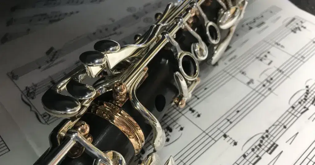 Zdjęcie Sekcja dęta - charakterystyka instrumentów i rola w orkiestrze